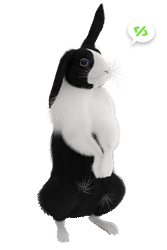 rabbit with question